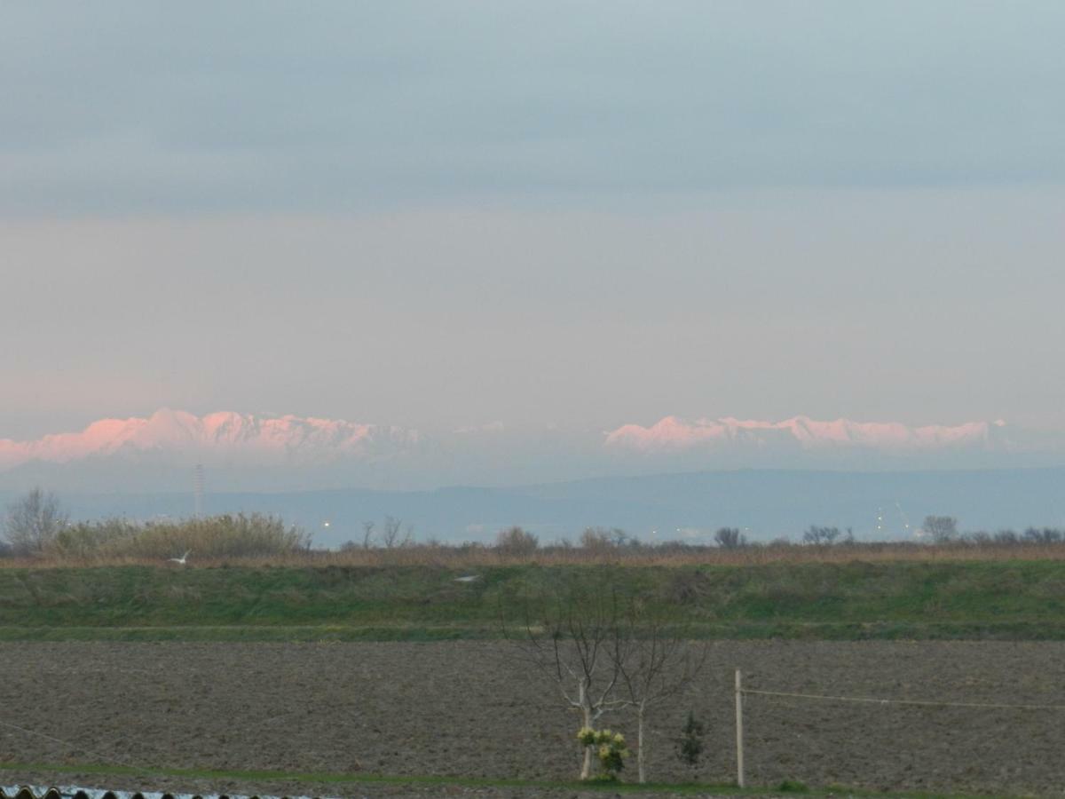 Al Sol Levante Fossalon エクステリア 写真